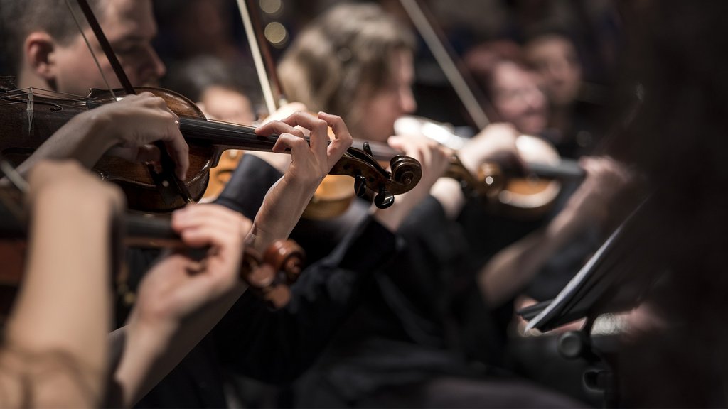 From a jam session to the university orchestra: The musical landscape at the HSG