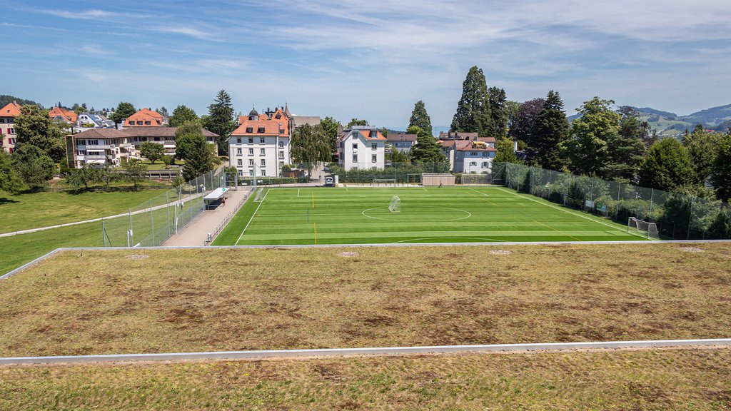 HSG-Studierende planen Solaranlage auf Sporthalle