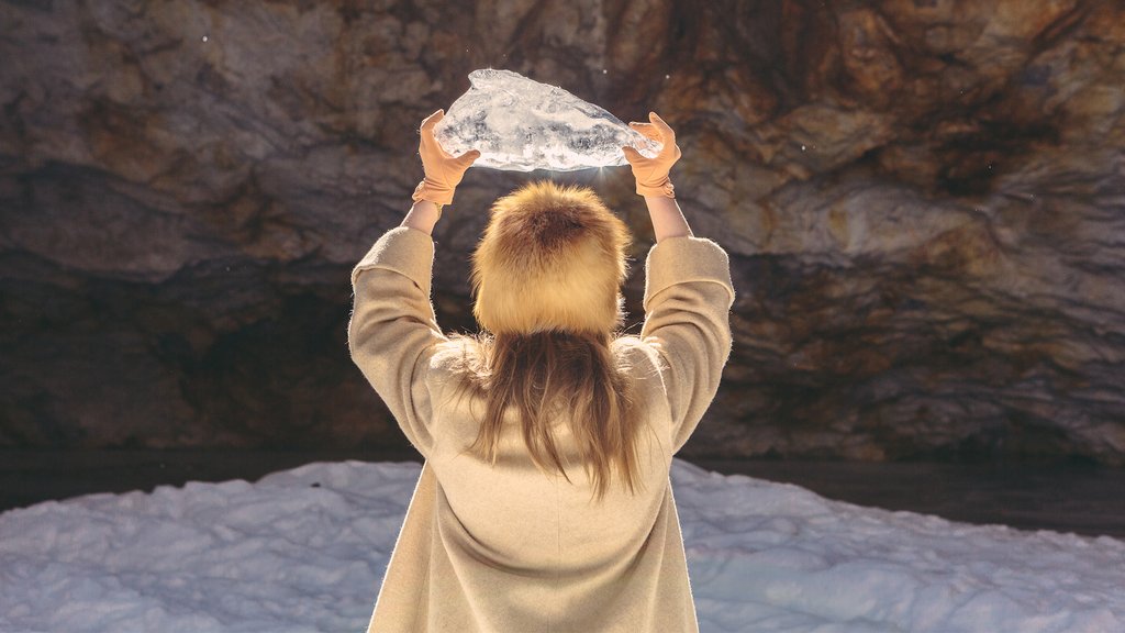 CEMS Graduate climate survey