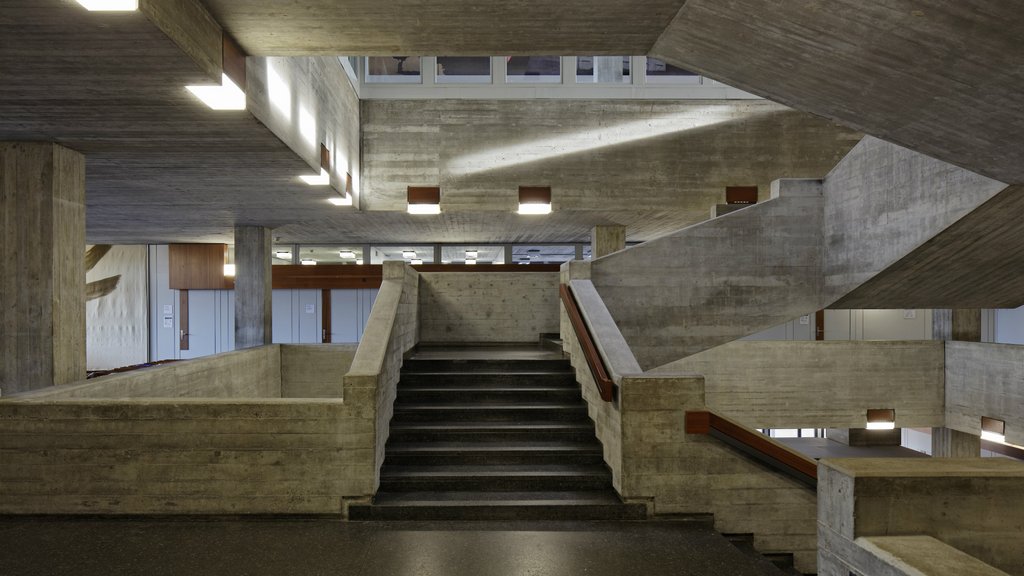 Stellungnahme der HSG Law School zu Medienberichten und einer parlamentarischen Anfrage betreffend einem Berufungsverfahren an der Universität St.Gallen (HSG)