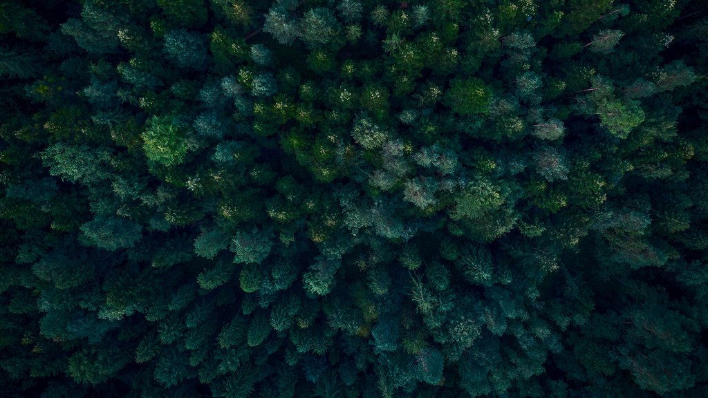 European insurance companies pursue climate-friendly investment policy