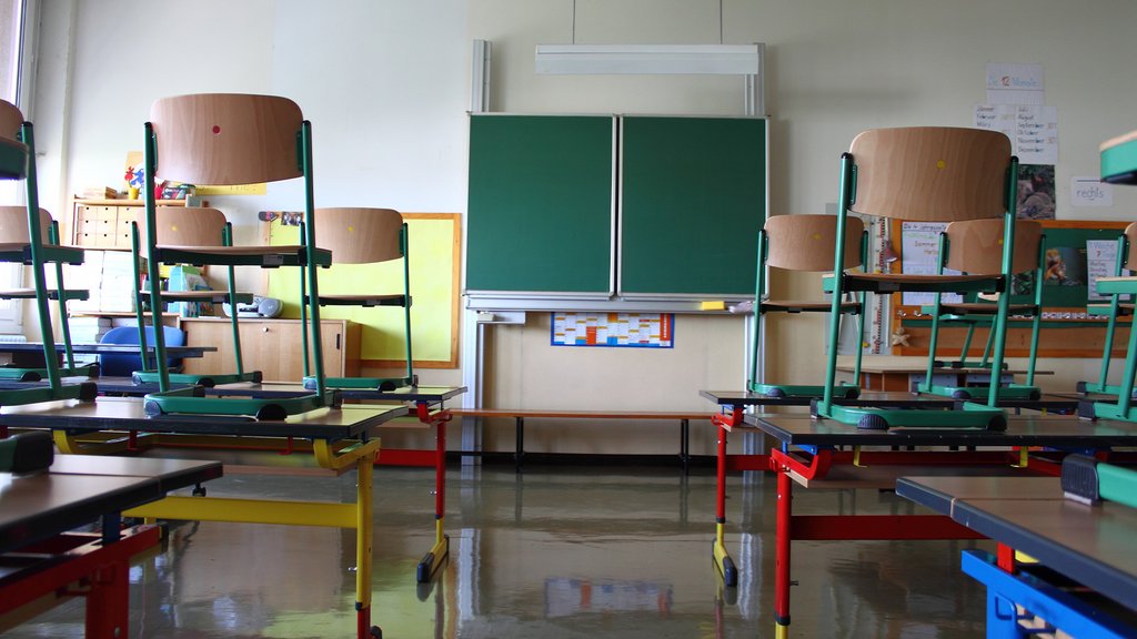 Startup with HSG background declares war on teacher shortage