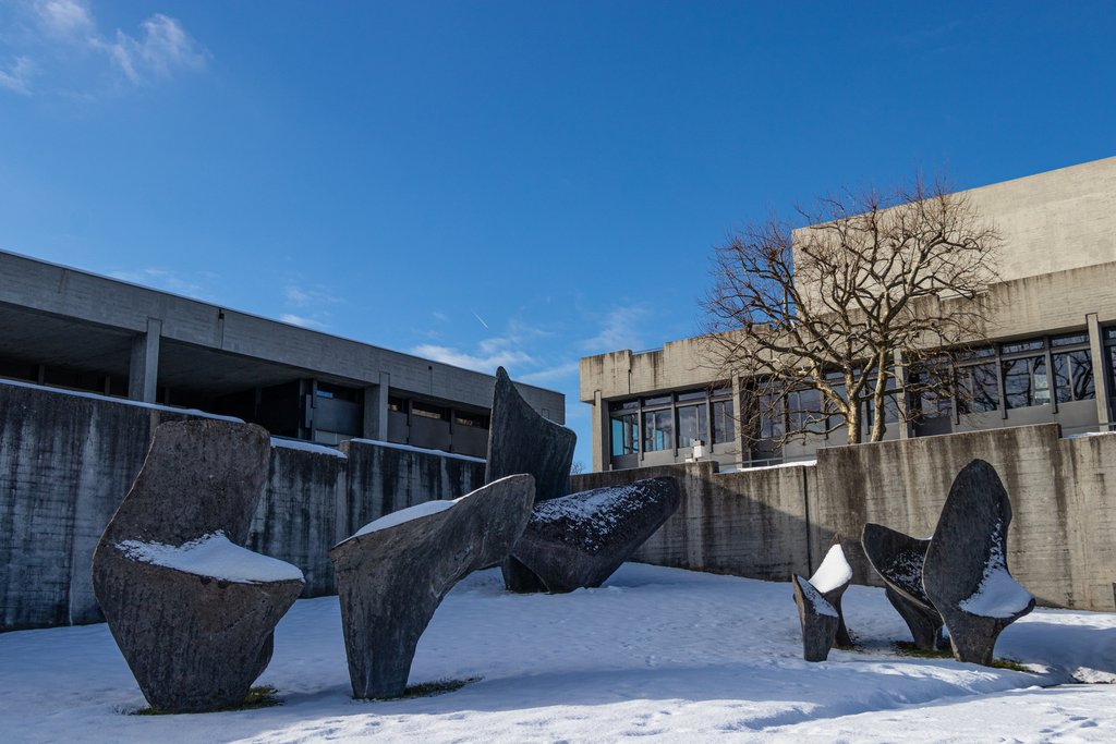 Plagiatsvorwürfe: Freistellungen an der HSG